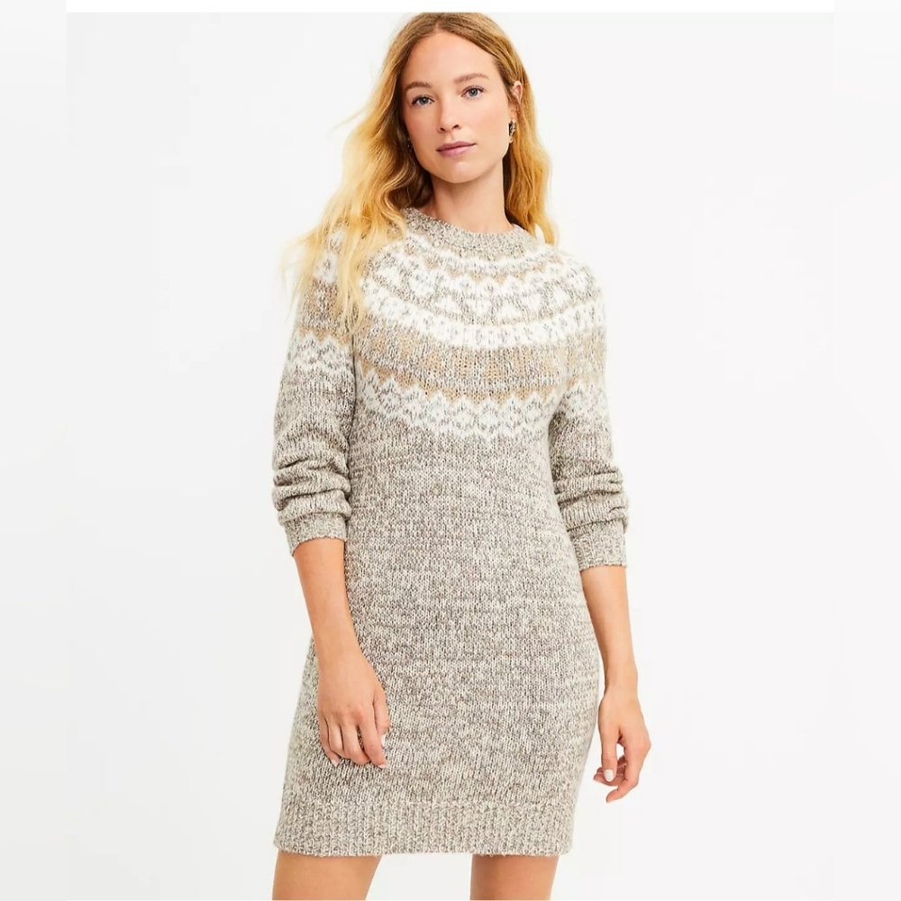 Loft Sweater Dress